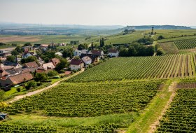 Vendersheimer Sonnenberg