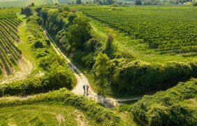 Hiwweltour Alsheimer Hohlwege 3 &copy; Dominik Ketz