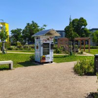 N’Eis im Hofladen Stenner - Frohnibär