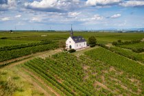 Abenheimer Klausenberg, © Torsten Silz