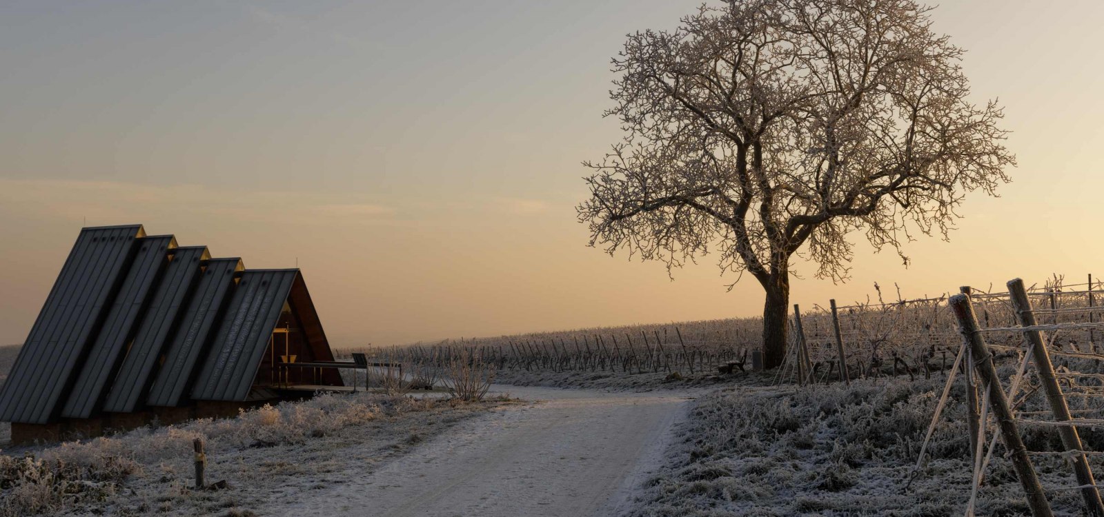 Winter in Zornheim, © Sven Hasselbach