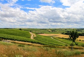 klima-rheinhessen