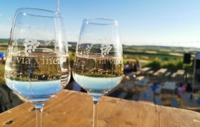 Via Vinea Gl&auml;ser &copy; Tourist Info VG Sprendlingen-Gensingen