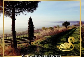 Weingut Schwahn-Fehlinger_Logo 2 &copy; Weingut Schwahn-Fehlinger