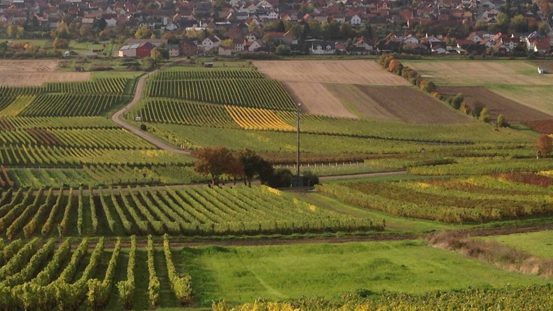 Snavel 3, &copy; Winzerhof Schnabel