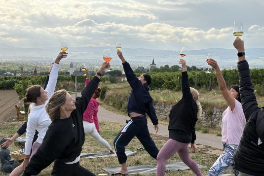 Weinyoga in den Weinbergen Rheinhessens – Teilnehmer kombinieren Yogaübungen mit einem Glas Wein vor malerischer Landschaft