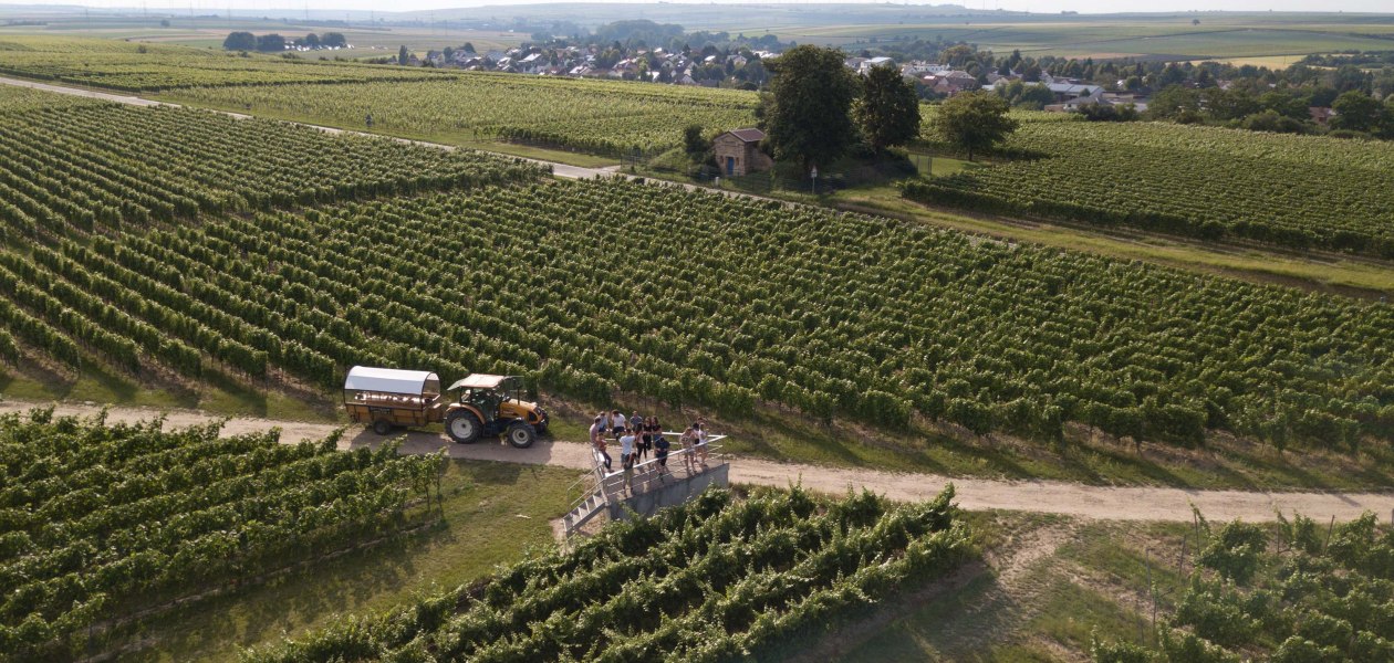 &copy; Weingut Grittmann