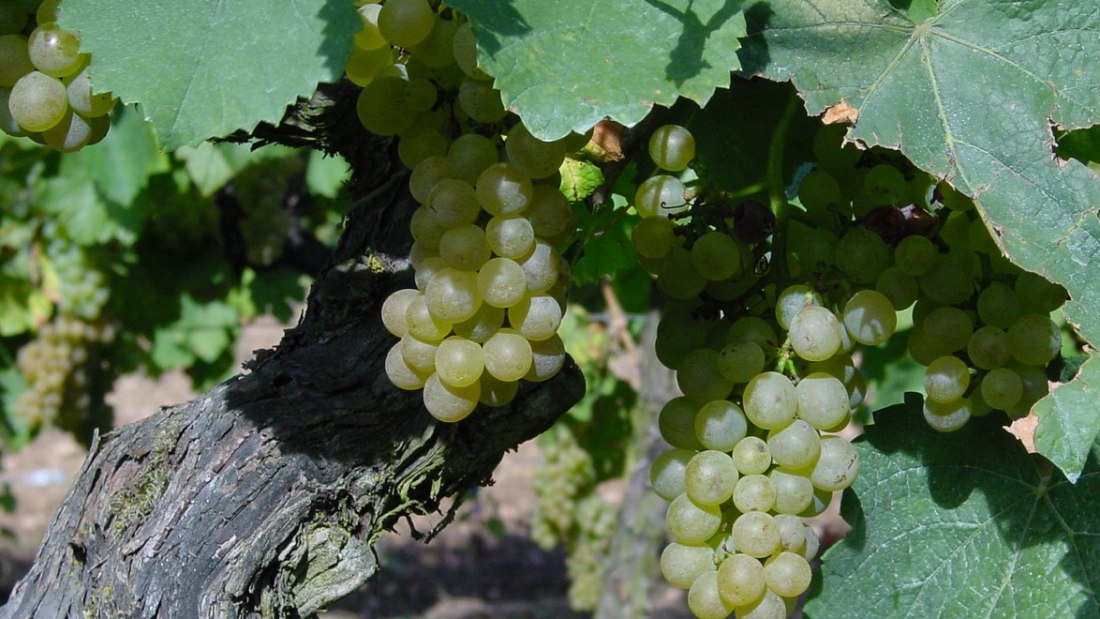 &copy; Ch.W. Bernhard