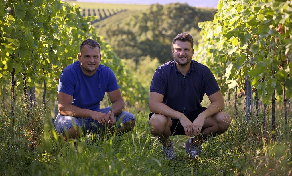o51a0942_1d, &copy; Weingut Baum-Barth