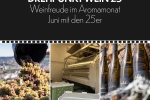 Drehpunkt1, &copy; Weingut Hildegardishof