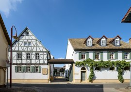 K&ouml;ster Wolf | Wf