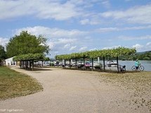 Rheinufer in Heidenfahrt © Stadt Ingelheim/ml