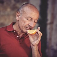 Wein & Secco K&ouml;th Aromenvielfalt &copy; Wein & Secco K&ouml;th