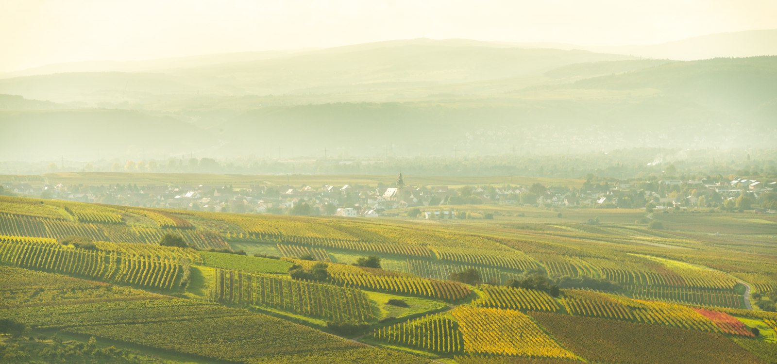 Landschapstour Bismarck Tower, &copy; Dominik Ketz