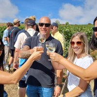 Wingertsh&auml;uschenwanderung &copy; TI Alzey