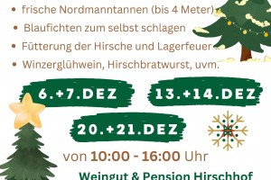 Weihnachtsbaumverkauf im Hirschhof