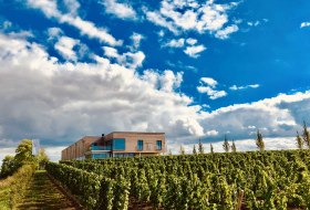 Weingut Th&ouml;rle &copy; Weingut Th&ouml;rle