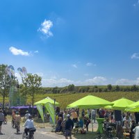 RheinRadeln 05 &copy; Rheinhessen-Touristk GmbH, Katja Zentel