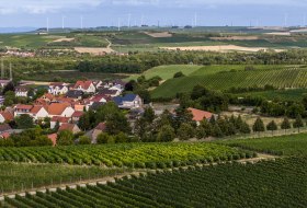 Bermersheimer Hildegardisberg