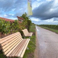 Bank an der alten Mistkaut am RheinTerrassenWeg