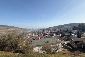 WhatsApp Image 2026-03-07 at 11.58.02