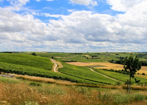 klima-rheinhessen