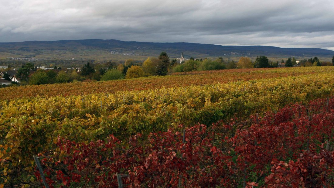 Nieuwe Andreas dorst, © Andreas dorst