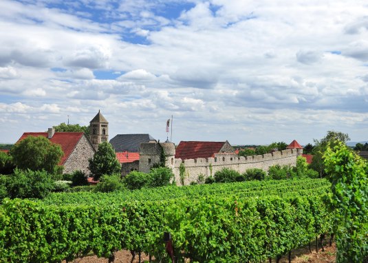 Fleckenmauer Ortspanorama &copy; VG Monsheim/Fotograf Carsten Costard