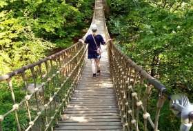 H&auml;ngebr&uuml;cke-Binger-Wald-Baumgeistertour