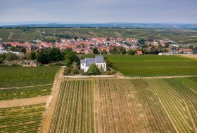 Udenheimer Kirchberg