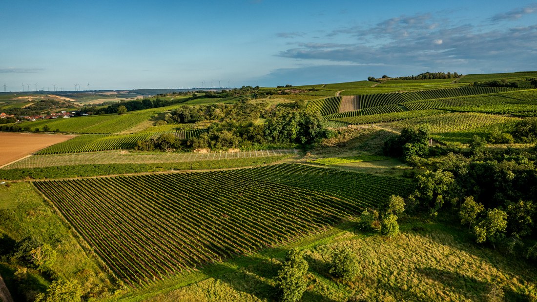 Siefersheimer H&ouml;llberg