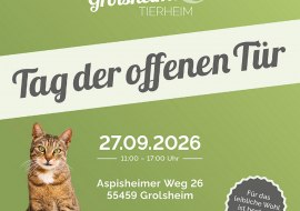 Tag der offenen T&uuml;r im Grolsheimer Tierheim, &copy; Tierschutz Bingen E.V.