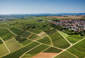 Essenheimer Teufelspfad