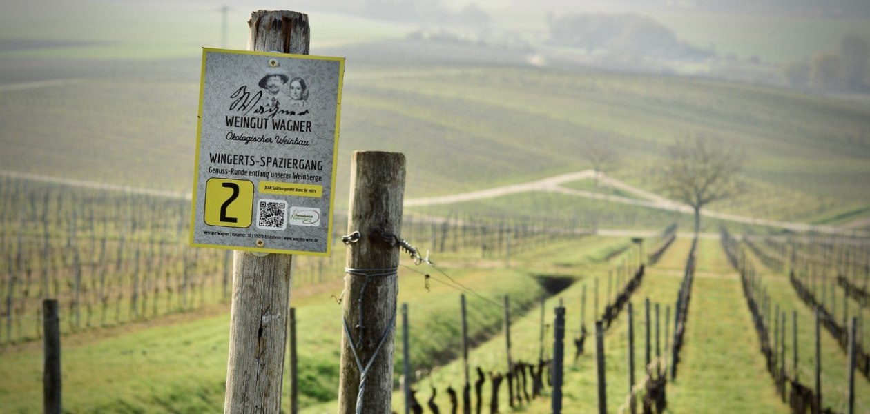 &copy; Weingut Wagner