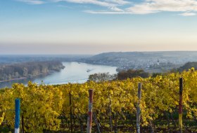 Rheinterrassenweg &copy; Karl-Georg M&uuml;ller