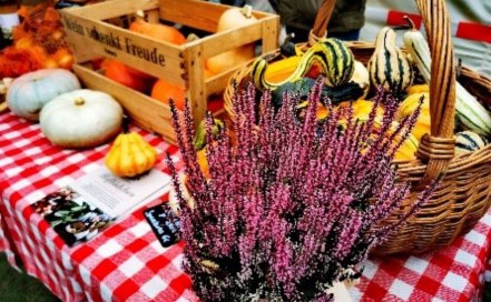 Herbstmarkt in Dexheim, © Marina Noble