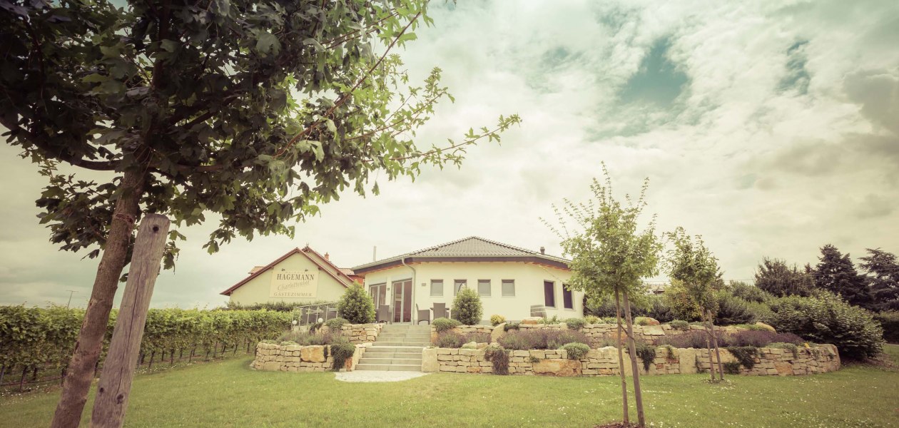 buitenkant vinotheek, &copy; Weingut Hagemann