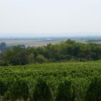 Monzernheimer Hohl 2 &copy; Michael Jung