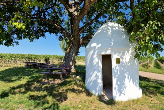 Trullo bij de Walnotenboom in Fl&ouml;rsheim-Dalsheim, &copy; CCO 4.0