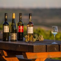 Weinflaschen © Winzerhof Schnabel