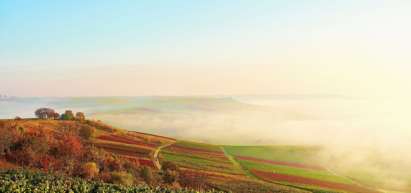 Herbst Impression, &copy; Robert Dieth