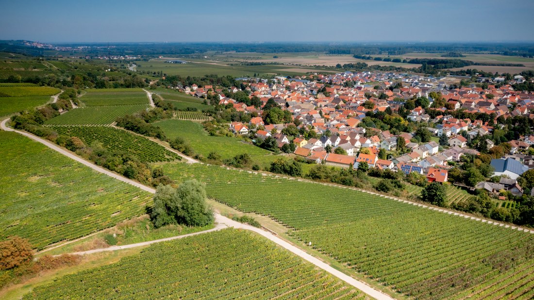 Guntersblumer Bornpfad