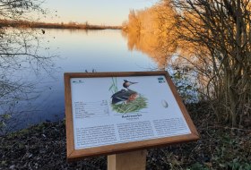 EBP -Vogelwelt am AltRheinErlebnisPfad erleben