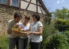 Herb Garden Erb-Frey-Hof, &copy; Uwe Feuerbach / Rheinhessen-Touristik