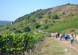 B&auml;nkelches Route