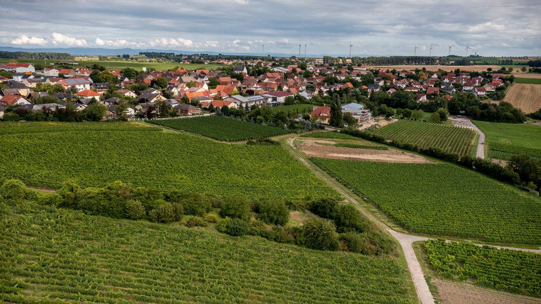Weinolsheimer Kehr