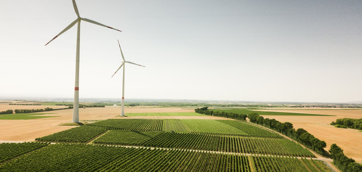 &copy; Weingut Dackermann