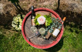 Weingut Dorst