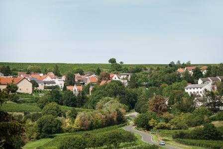 Blick auf Mölsheim © VG Monsheim, Fotograf Carsten Costard