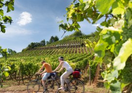 nierstein_0154434_georg-tuber-20, © Georg Knoll